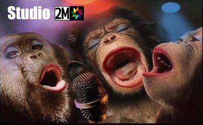 2m