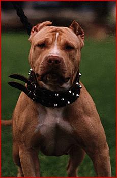 pit